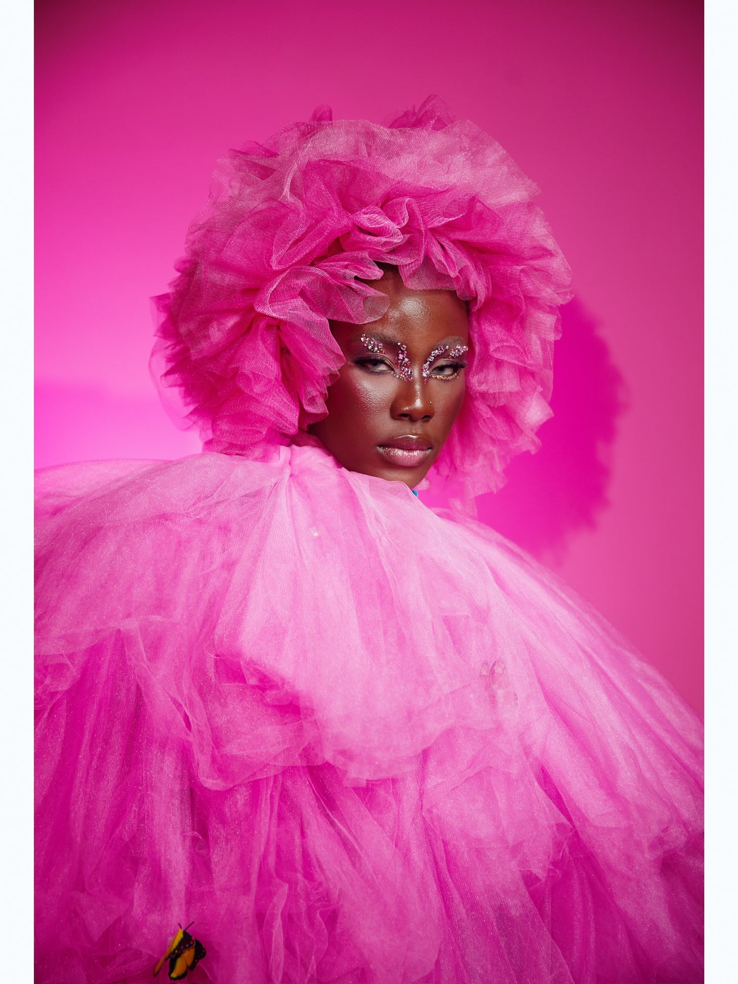 Pink Butterfly Skirt Gown