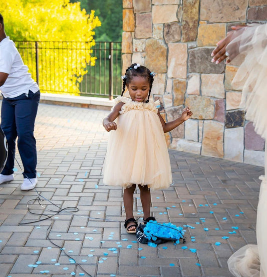 Baby Girl tulle dress Sleeveless